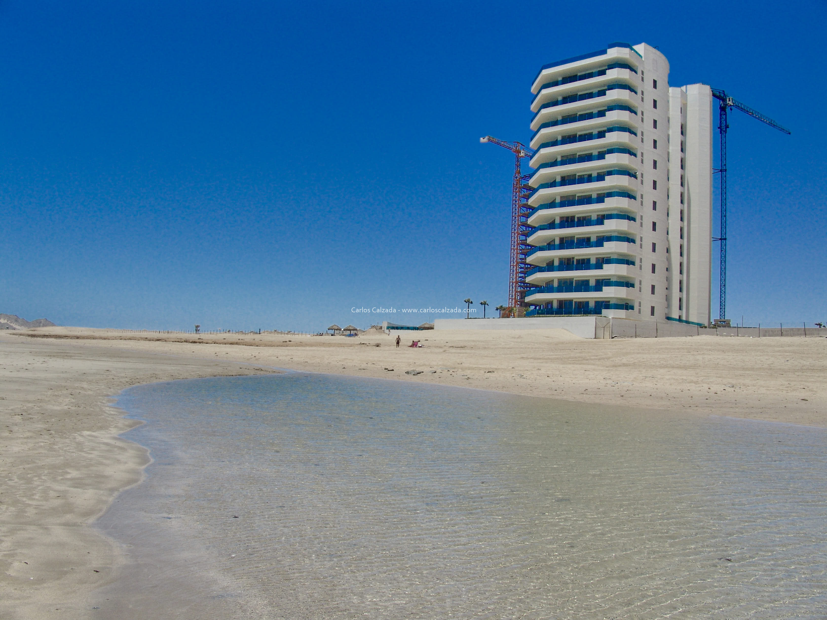 Arenosa_2008 (18).jpg